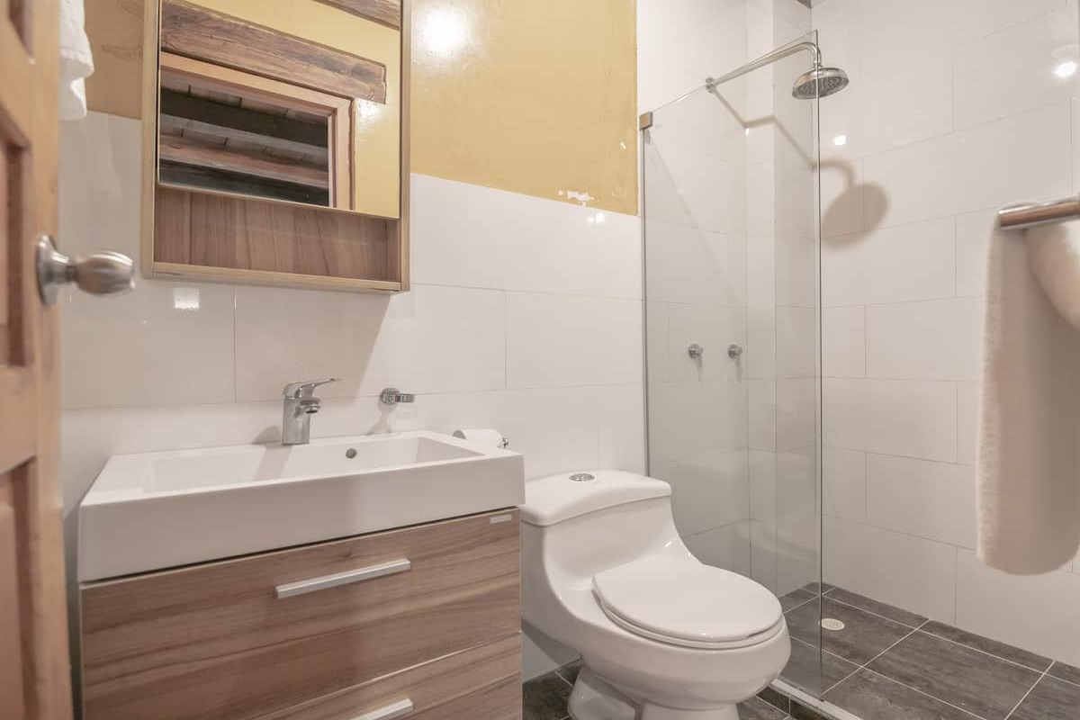 4 BR Luxury Mansion in Best Location image 2